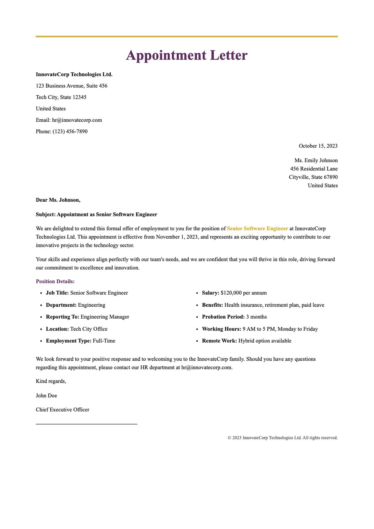 Private company job appointment letter for Marketing Manager position_variant_2